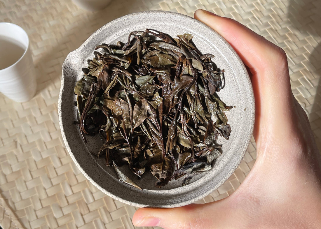 9 Aromas of White Tea