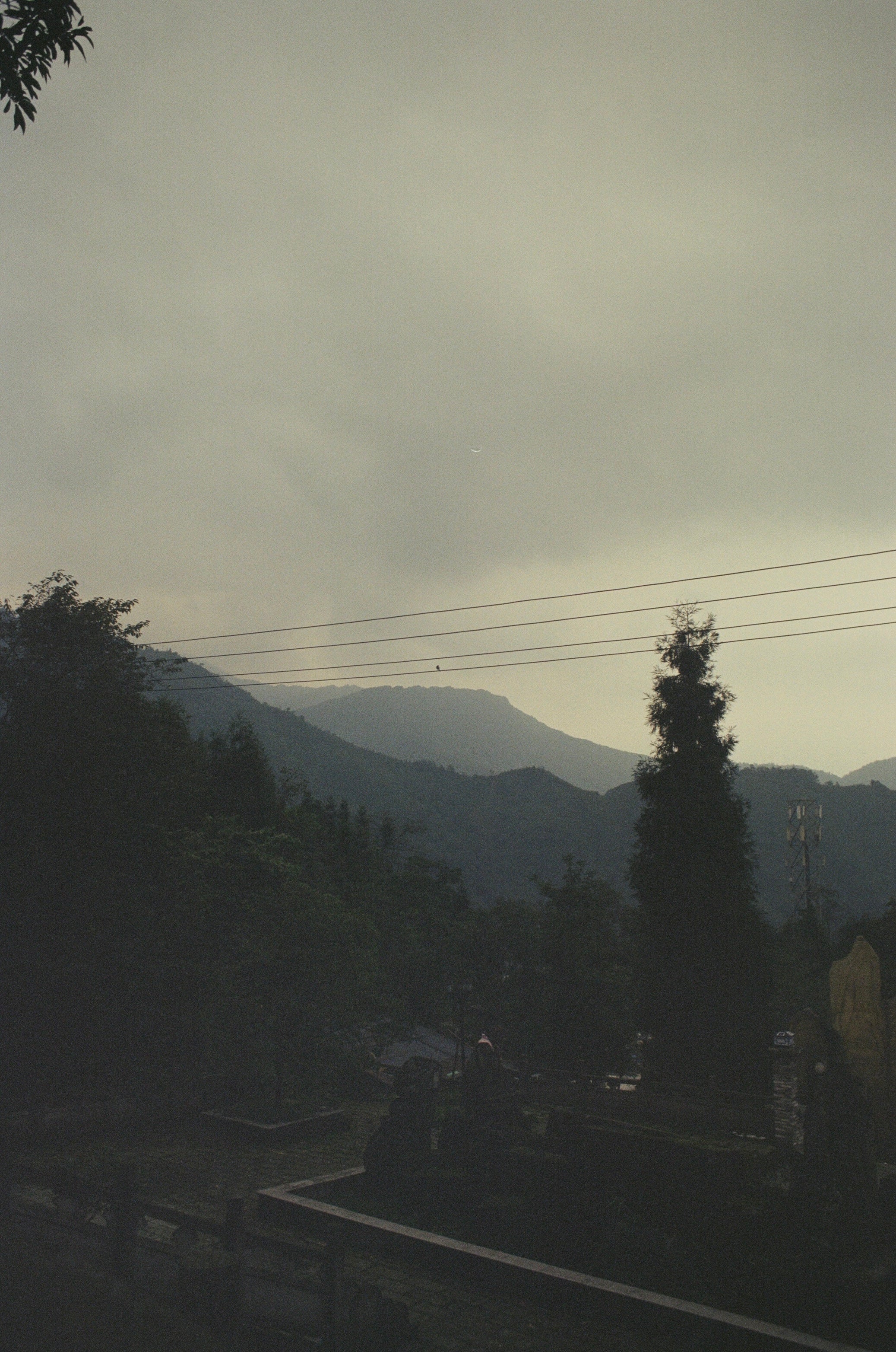In the Rainy Spring: Qing Ming