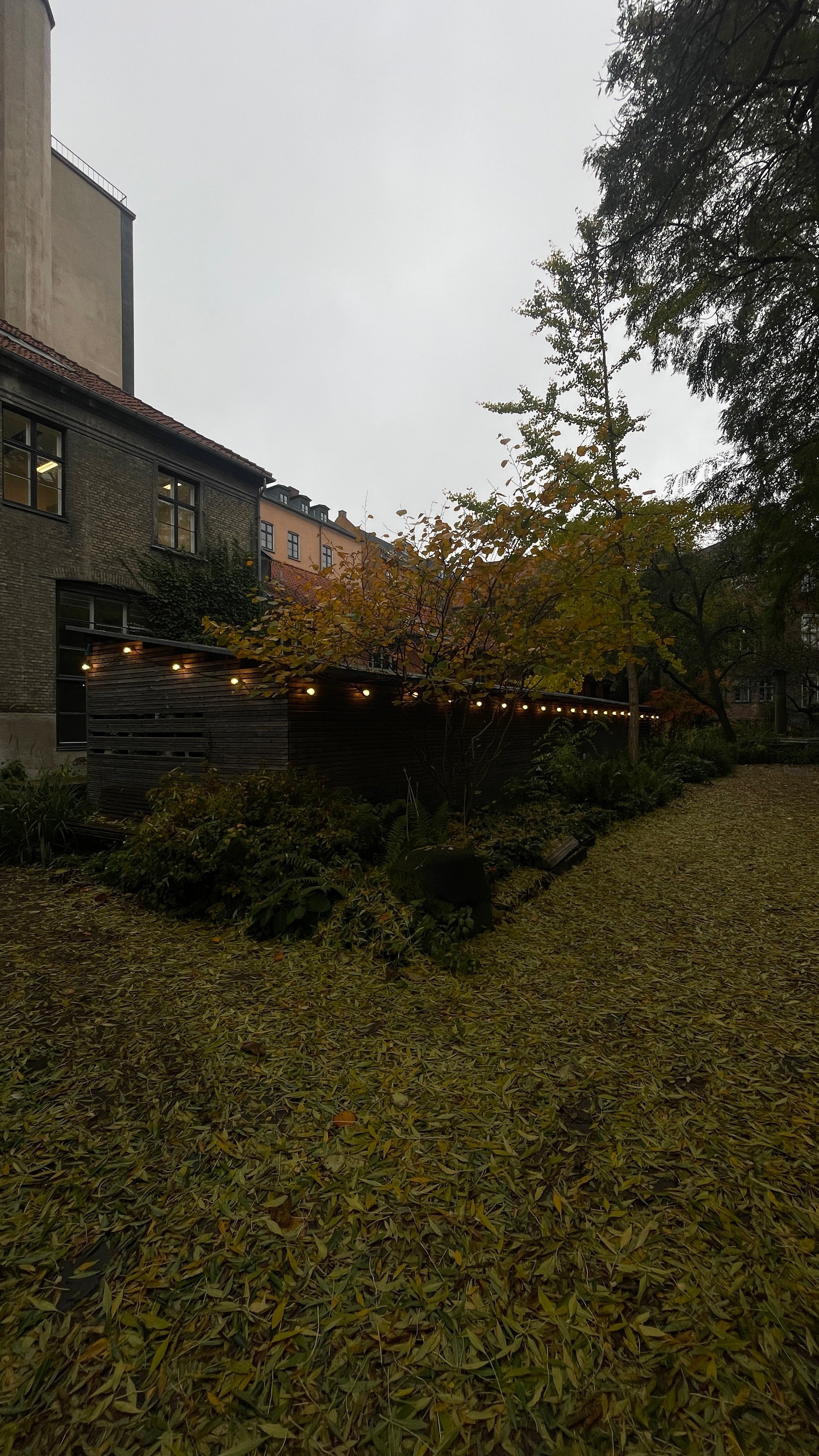 Christmas Market: A Winter's Enchantment Awaits