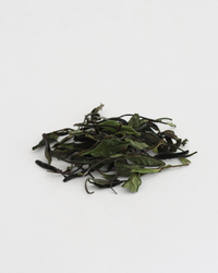 Wild White · Yě Xiǎo Bái · 野小白