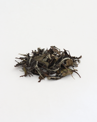 White Peony · Bái Mǔ Dān · 白牡丹