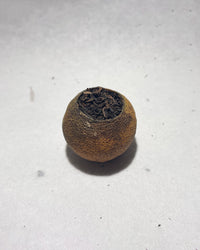 Green Tangerine Pu-erh · Xiǎo Qīng Gān · 小青柑