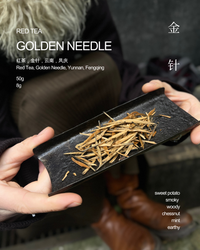 Golden Needle · Jīn Zhen · 金针