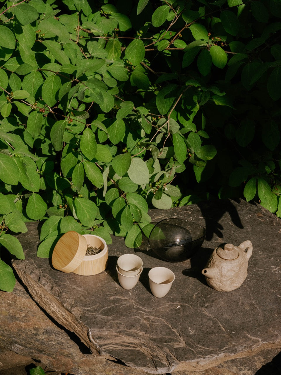 Sedimentary Stone Teapot
