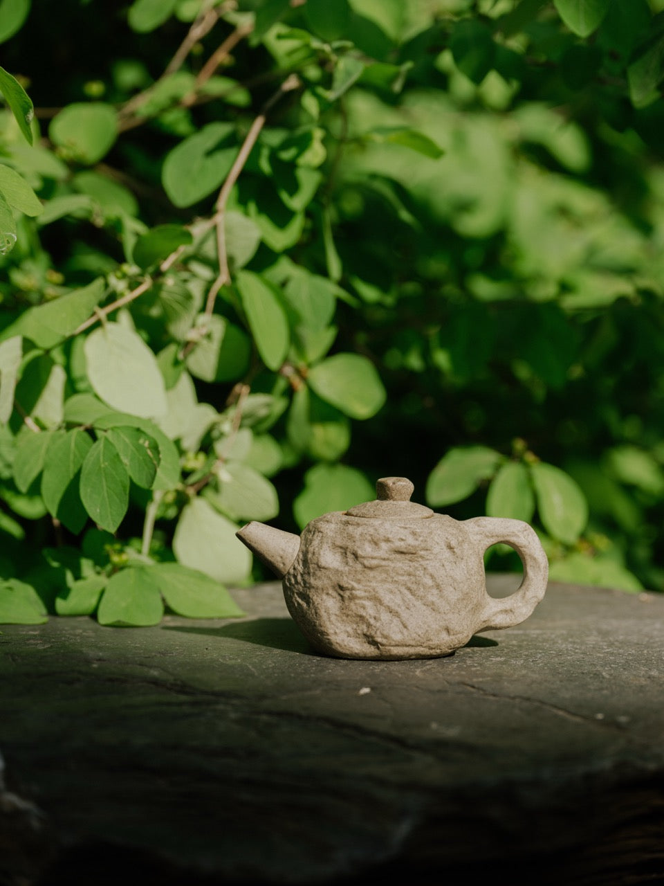 Sedimentary Stone Teapot