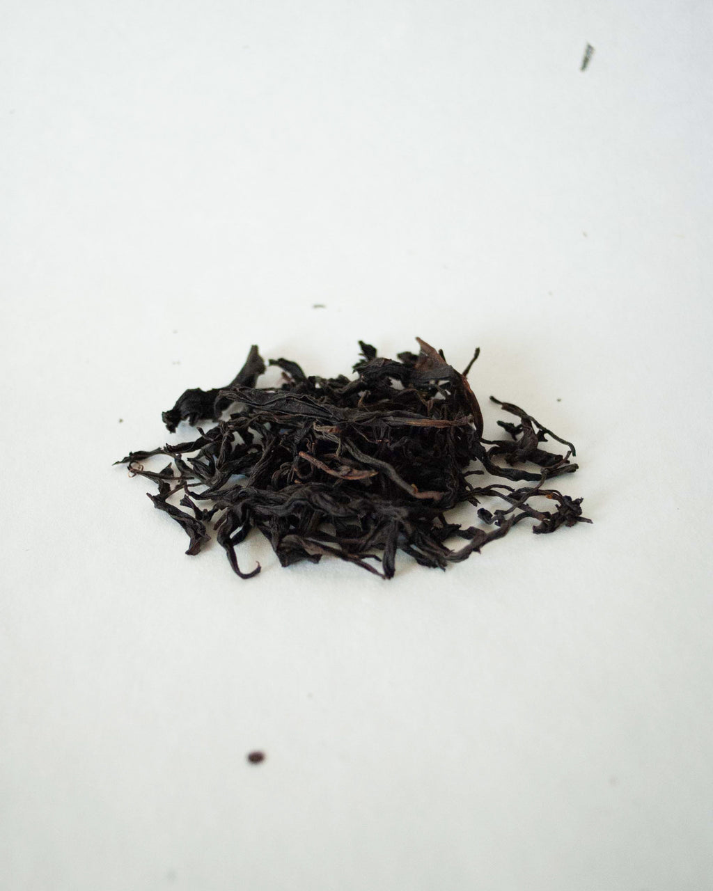 Narcissus Rock Tea · Shuǐxiān · 水仙