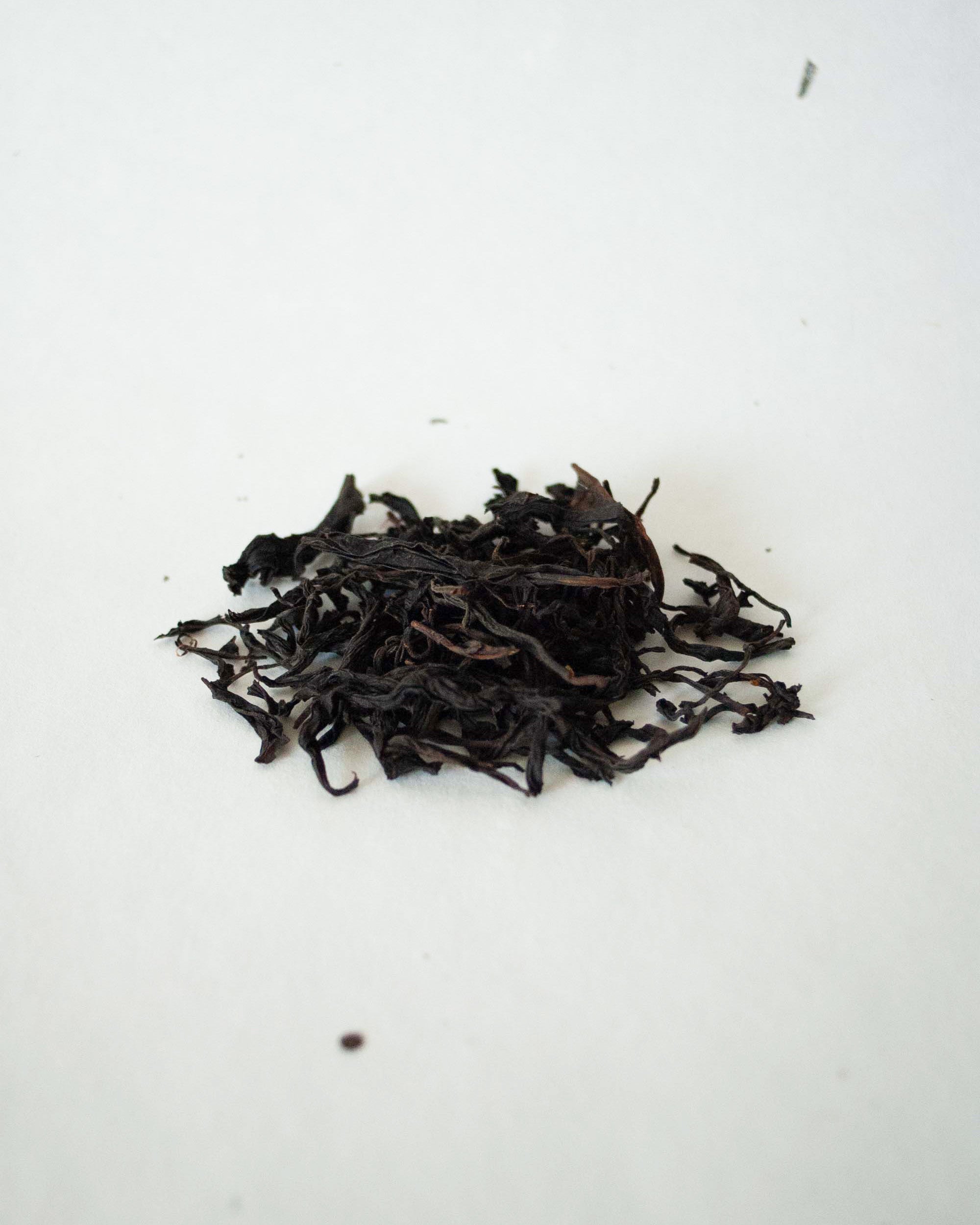 Narcissus Rock Tea · Shuǐxiān · 水仙