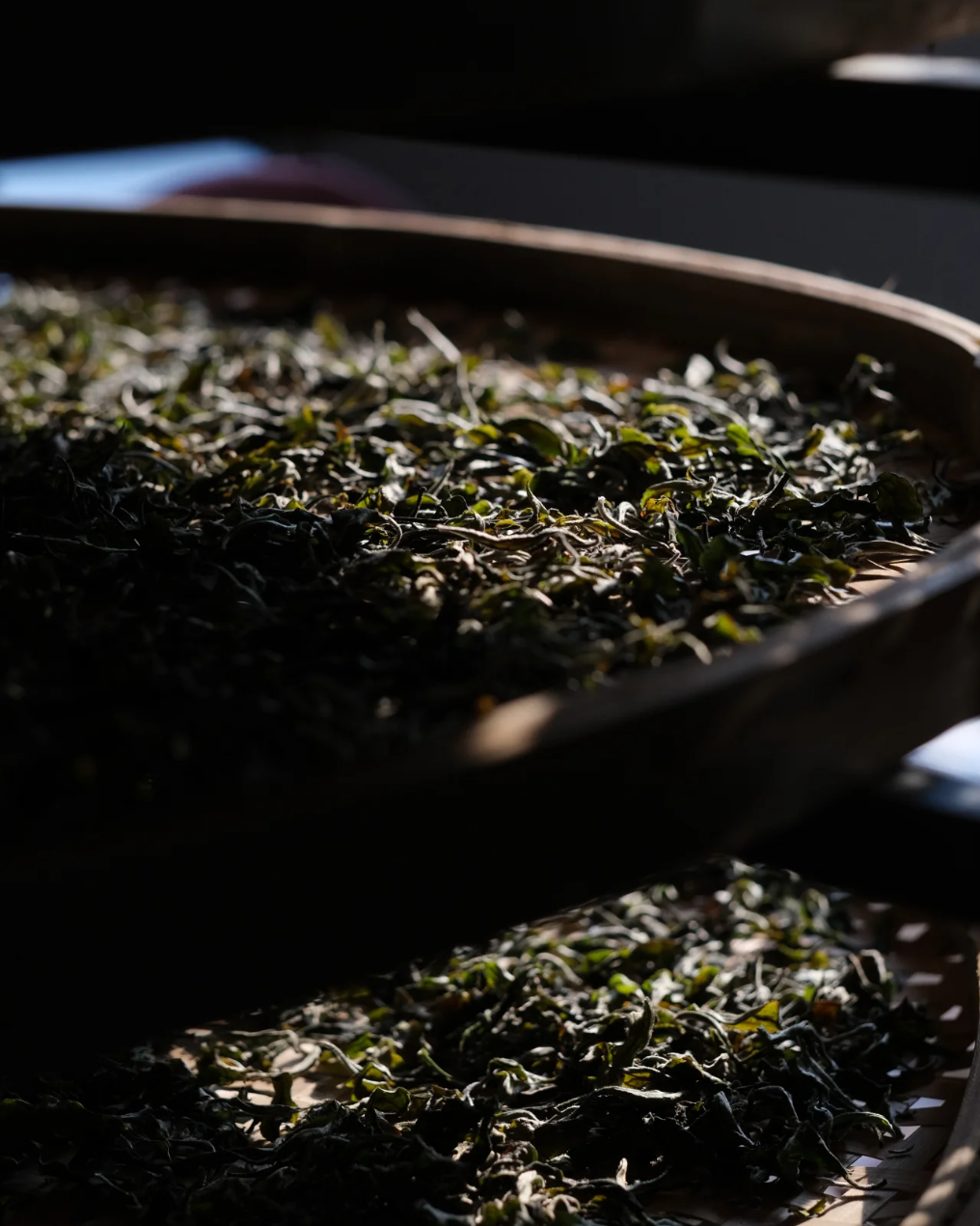 Sweet Dew · Měng Dǐng Gān Lù · 蒙顶甘露