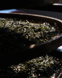 Sweet Dew · Měng Dǐng Gān Lù · 蒙顶甘露
