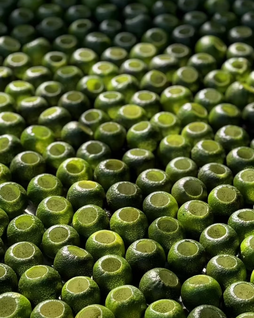 Green Tangerine Pu-erh · Xiǎo Qīng Gān · 小青柑