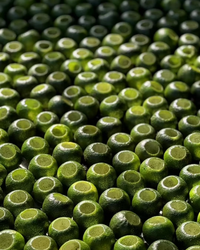 Green Tangerine Pu-erh · Xiǎo Qīng Gān · 小青柑