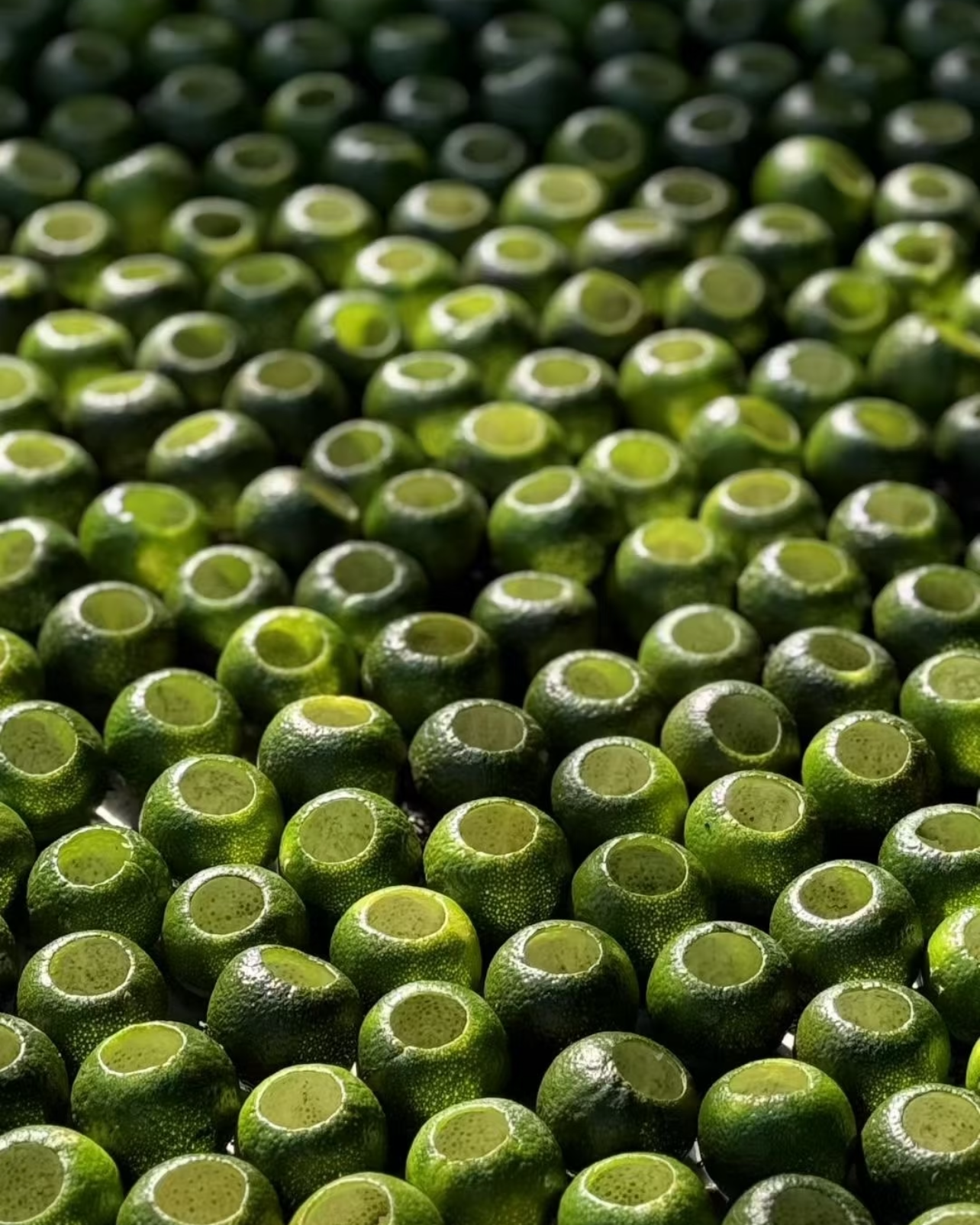 Green Tangerine Pu-erh · Xiǎo Qīng Gān · 小青柑