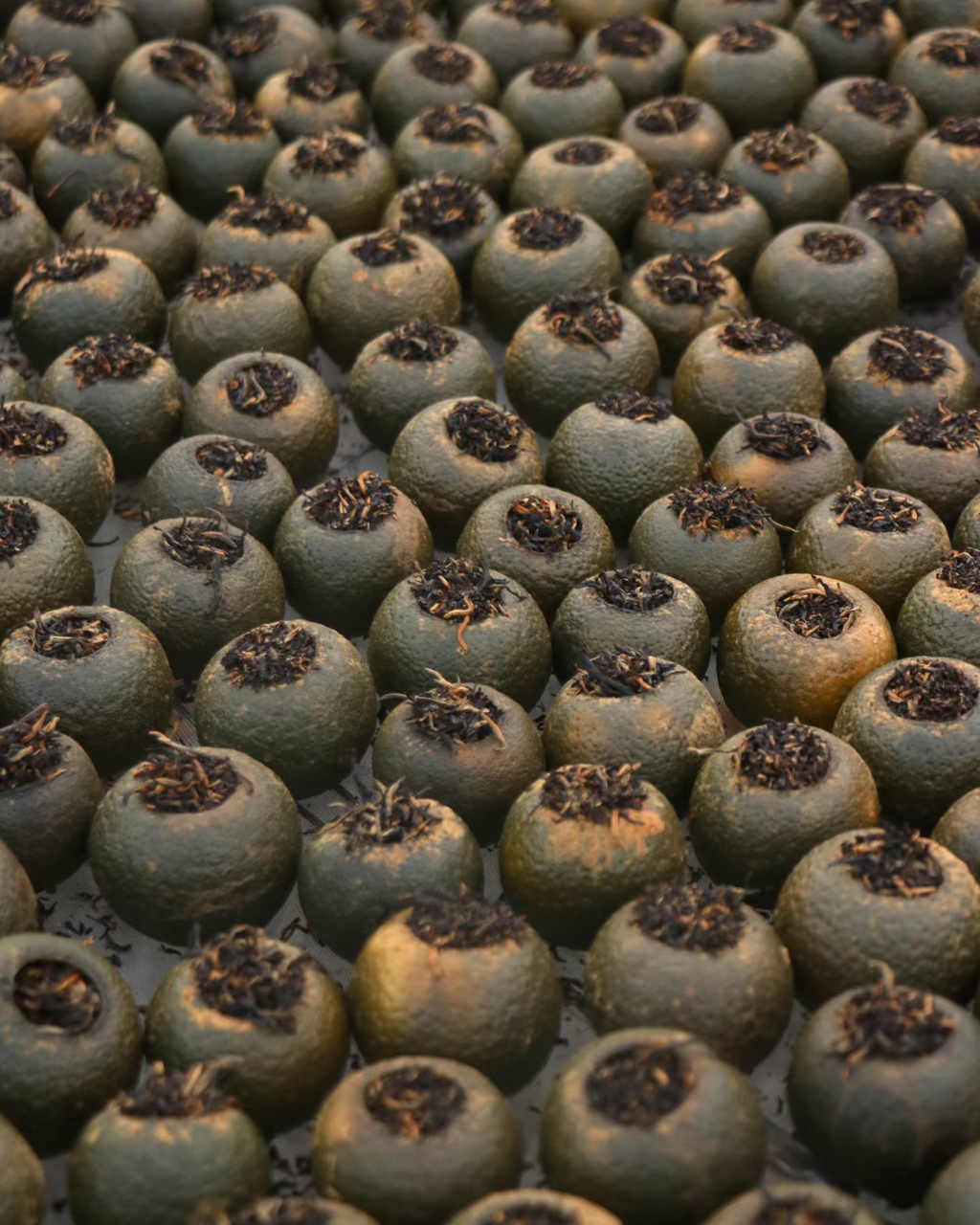 Green Tangerine Pu-erh · Xiǎo Qīng Gān · 小青柑
