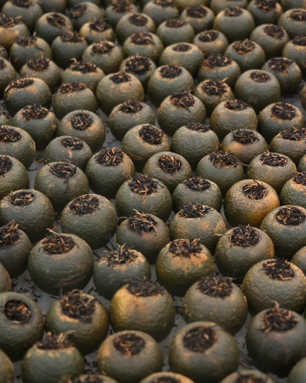 Green Tangerine Pu-erh · Xiǎo Qīng Gān · 小青柑