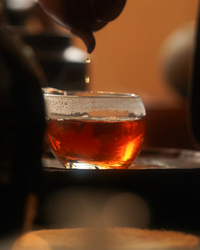 Orange Pu-erh · Gān Pǔ · 柑普