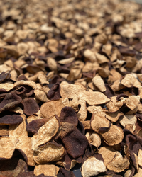 Orange Pu-erh · Gān Pǔ · 柑普