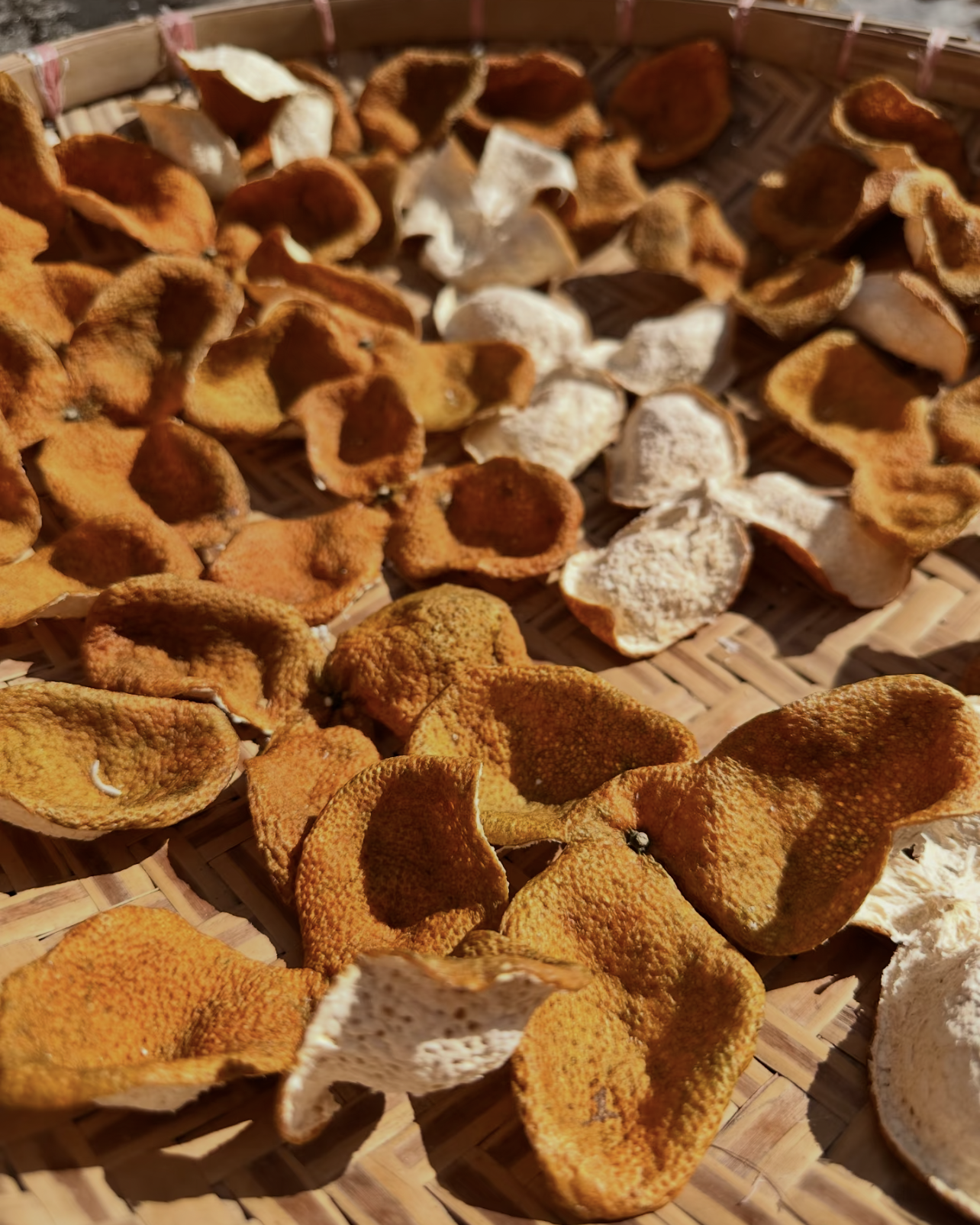 Orange Pu-erh · Gān Pǔ · 柑普