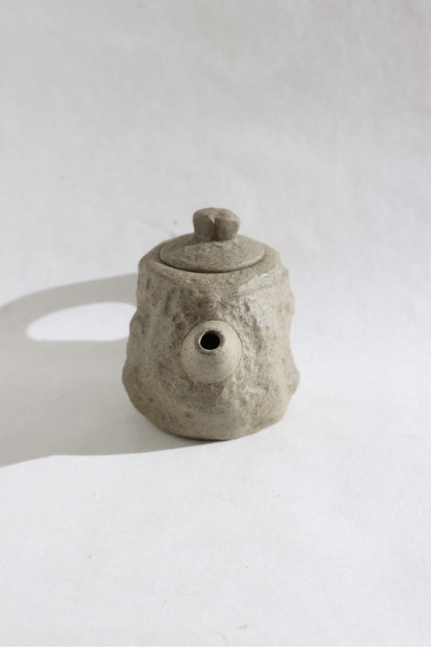 Sedimentary Stone Teapot