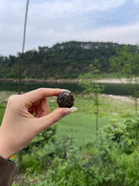 Xi Gui Raw Pu-erh · Xī Guī · 昔归