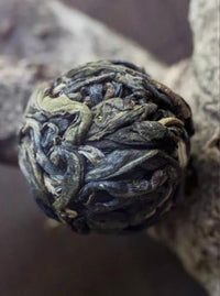 Xi Gui Raw Pu-erh · Xī Guī · 昔归