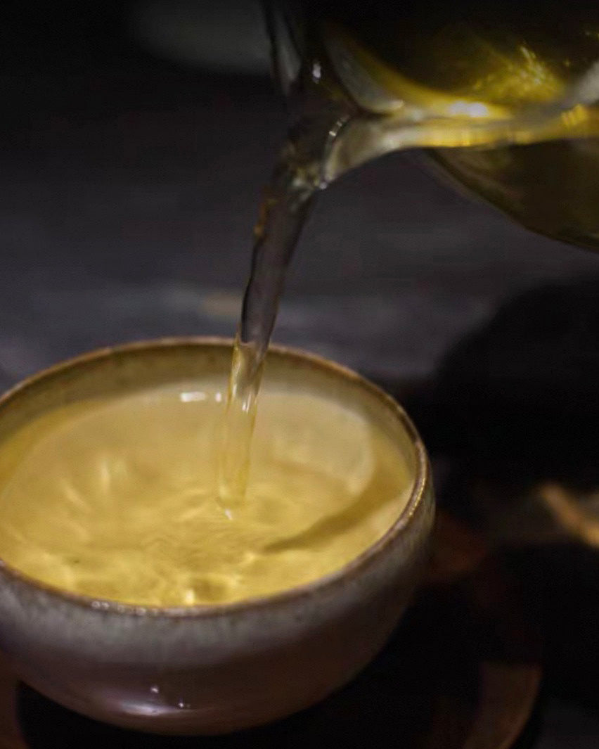Xi Gui Raw Pu-erh · Xī Guī · 昔归