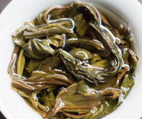 Xi Gui Raw Pu-erh · Xī Guī · 昔归
