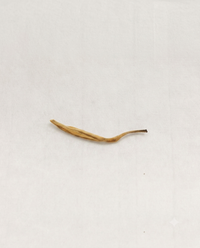 Golden Needle · Jīn Zhen · 金针