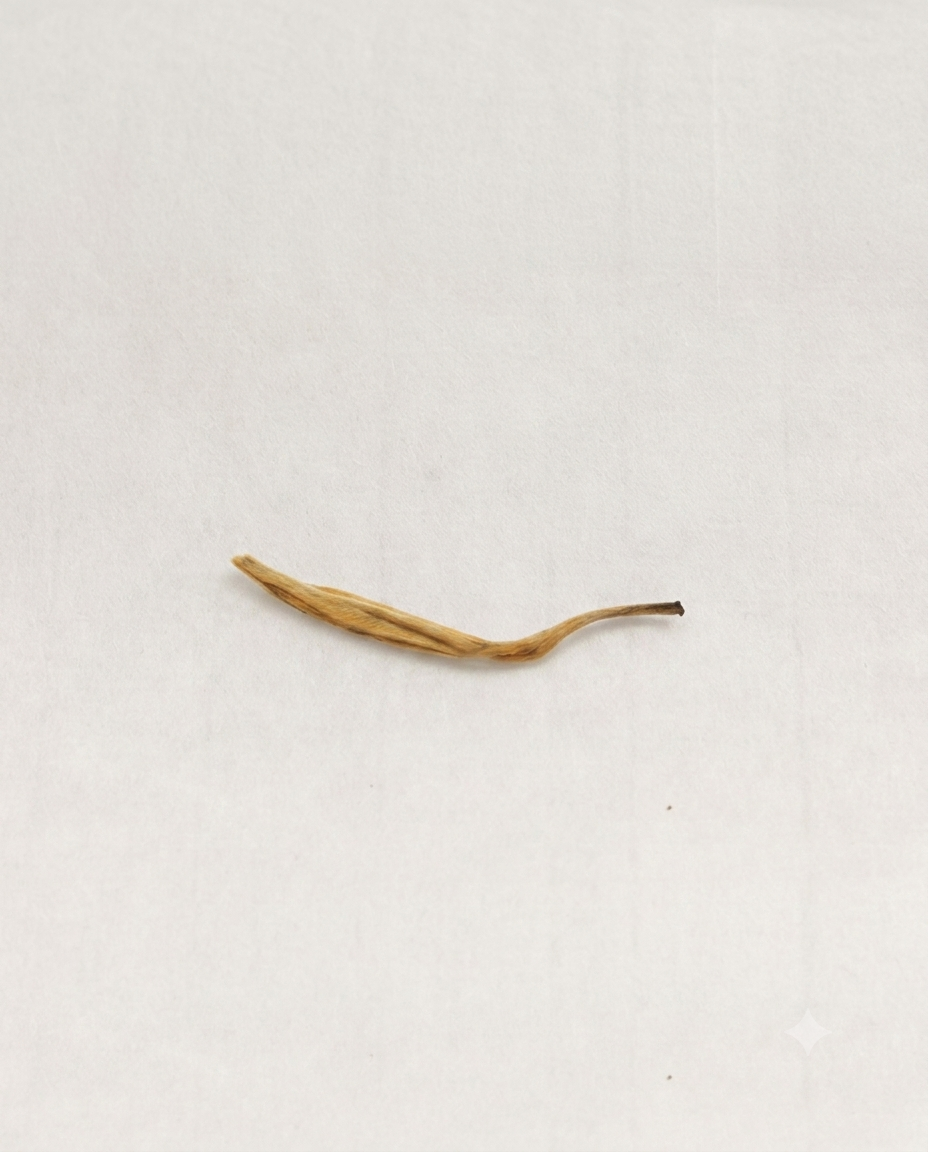 Golden Needle