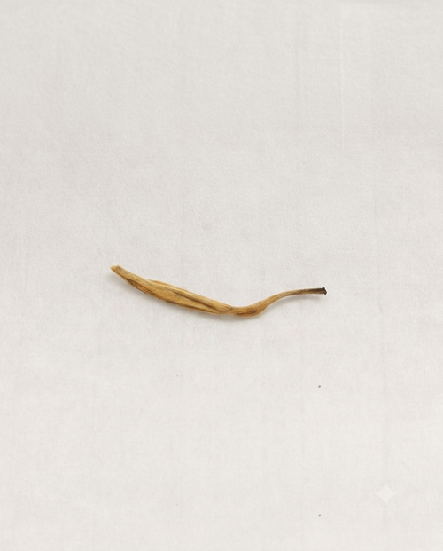 Golden Needle
