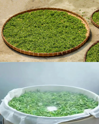 Purple Needle · Zǐ Sǔn · 紫笋