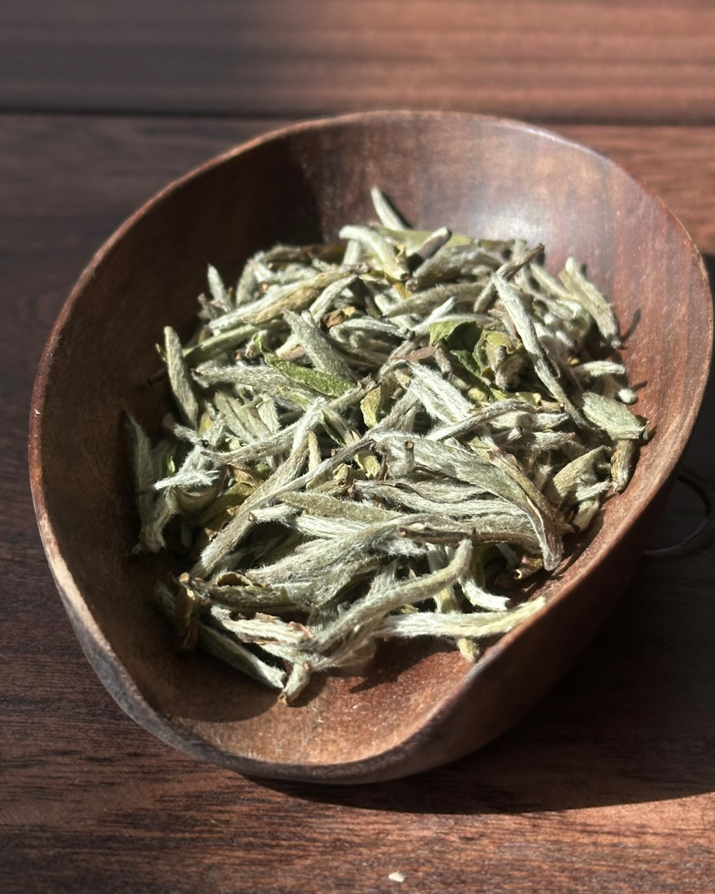 Silver Needle · Bái Háo Yín Zhēn · 白豪银针