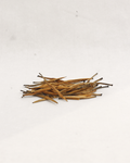 Golden Needle · Jīn Zhen · 金针