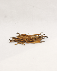 Golden Needle · Jīn Zhen · 金针
