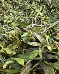 Wild White · Yě Xiǎo Bái · 野小白